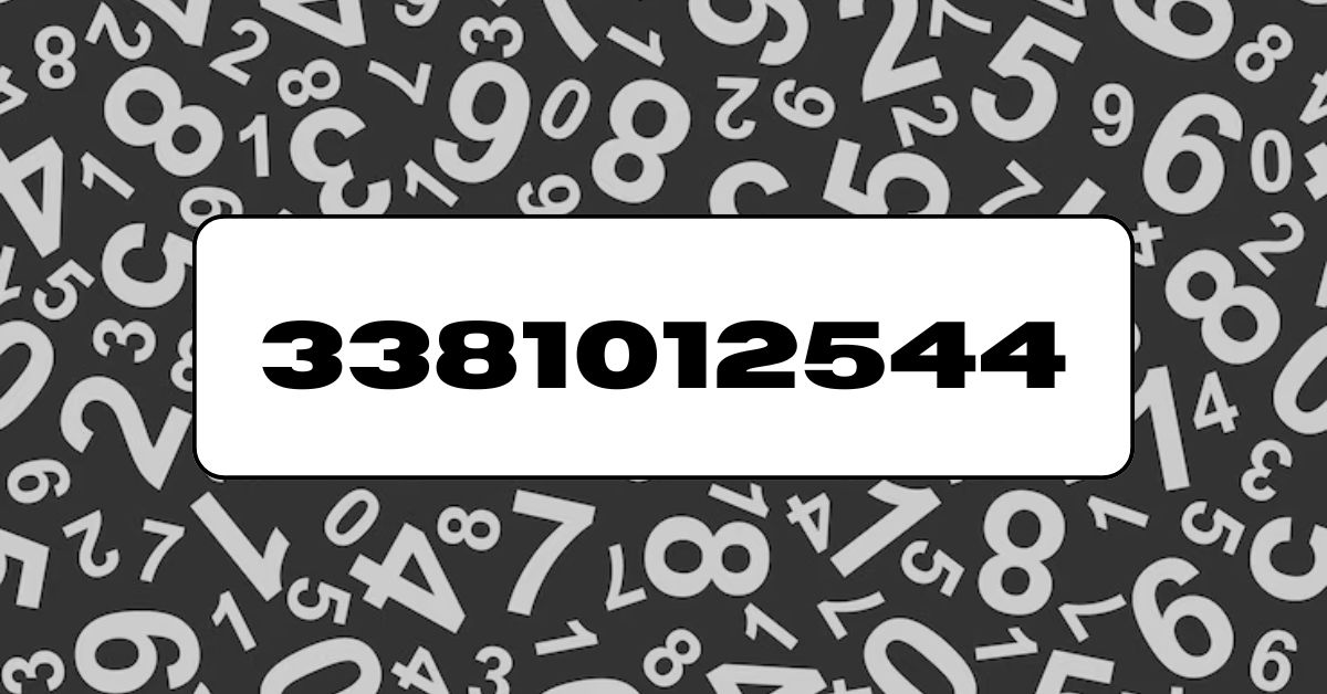 3381012544